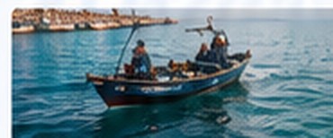 Strengthening Fisheries Value Chain in Somalia